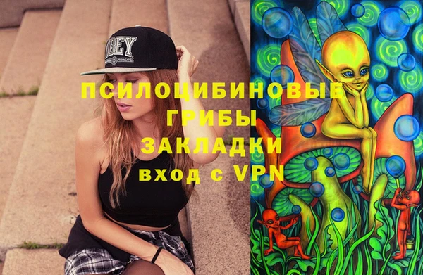 соль ск Алексин