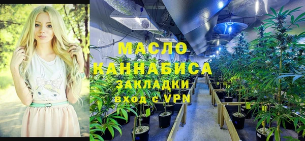 соль ск Алексин