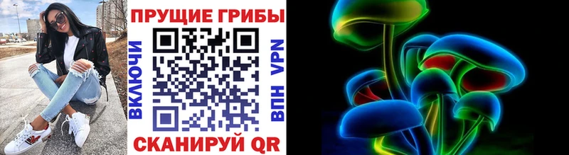 Псилоцибиновые грибы мицелий  Александровск-Сахалинский 